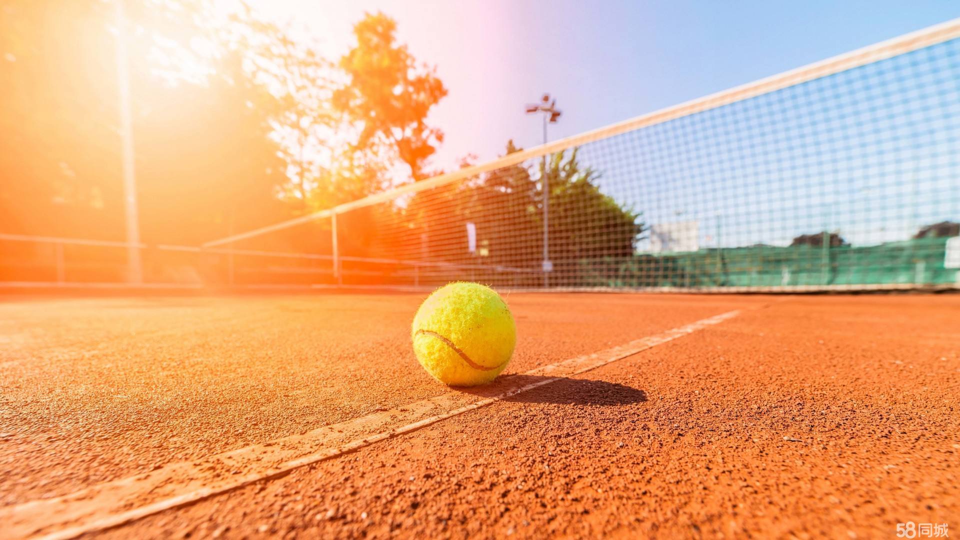 仅透露了足 仅透露了足