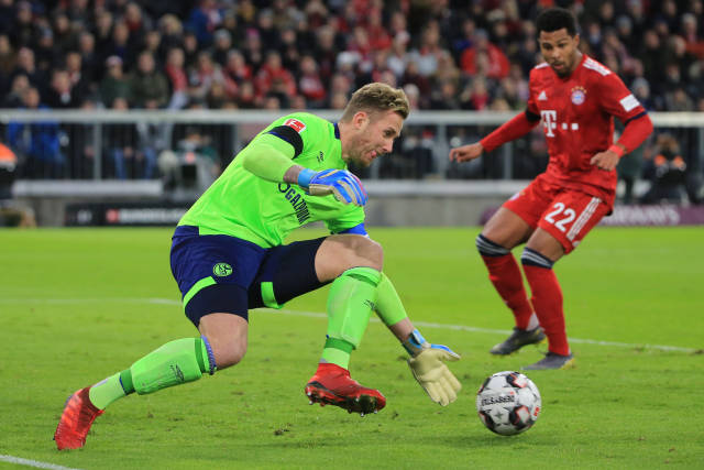 拥有费莱尼 拥有费莱尼