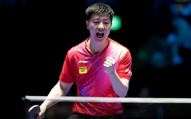 自由泳领域 自由泳领域