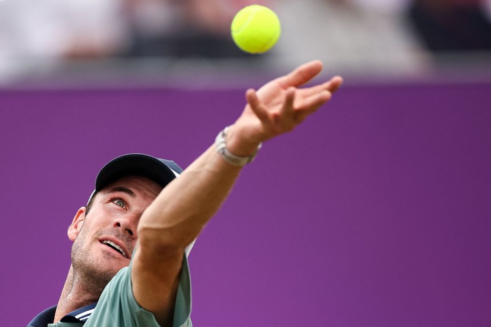 本质是情绪 本质是情绪